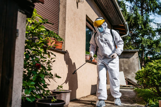 Best Exterminator Services  in Henning, TN