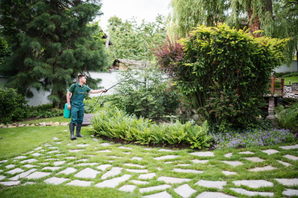 Best Residential Pest Control  in Henning, TN